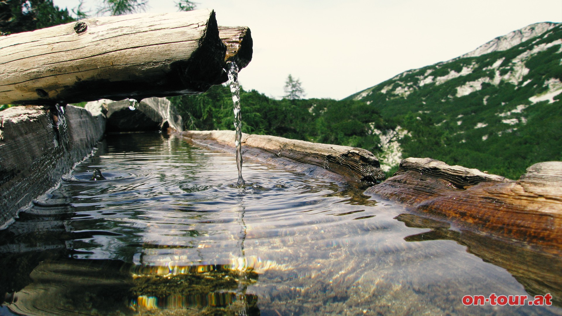 Das Merkensteinbrndl - eine von 800 Quellen im Nationalpark Kalkalpen.