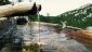Das Merkensteinbrndl - eine von 800 Quellen im Nationalpark Kalkalpen.