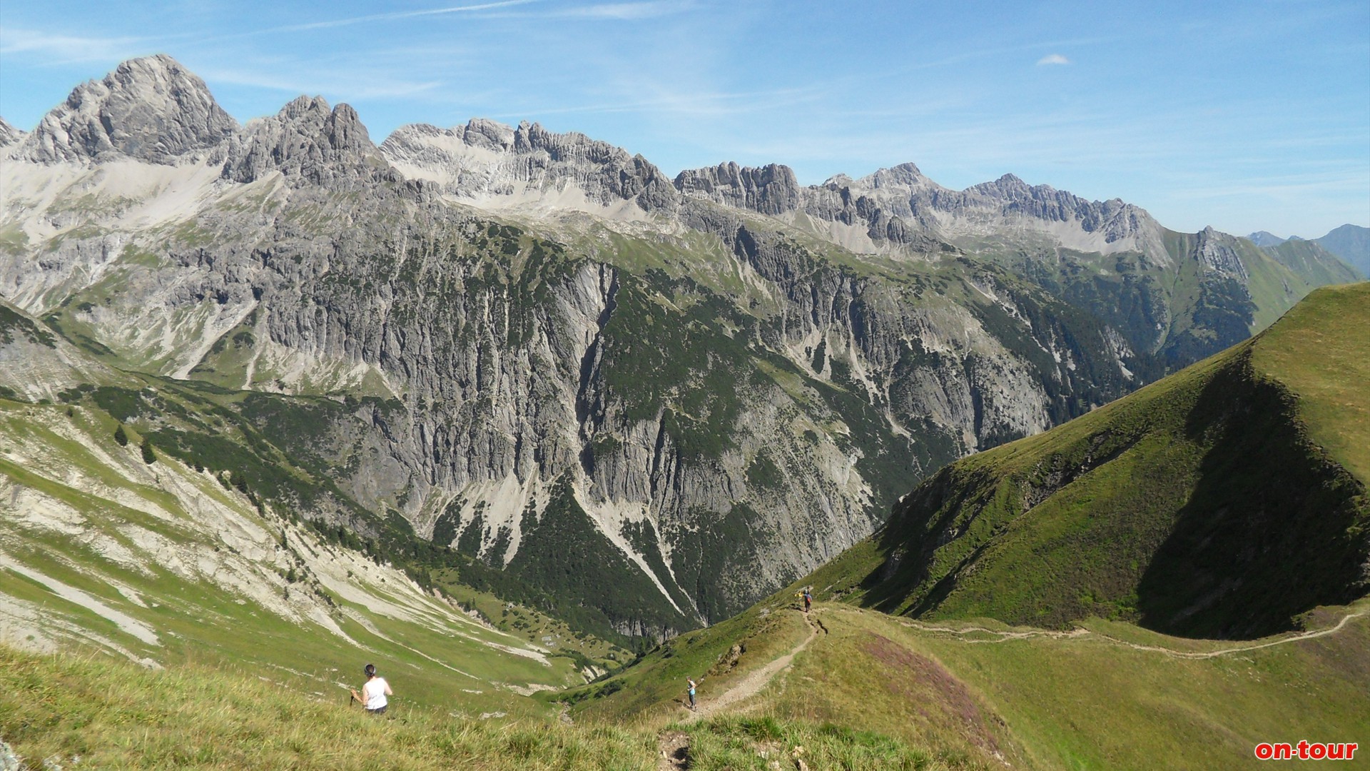 Unzhlige Kalkspitzen der Allguer Alpen. Rote Flchen auf den Grasmatten weisen auf 