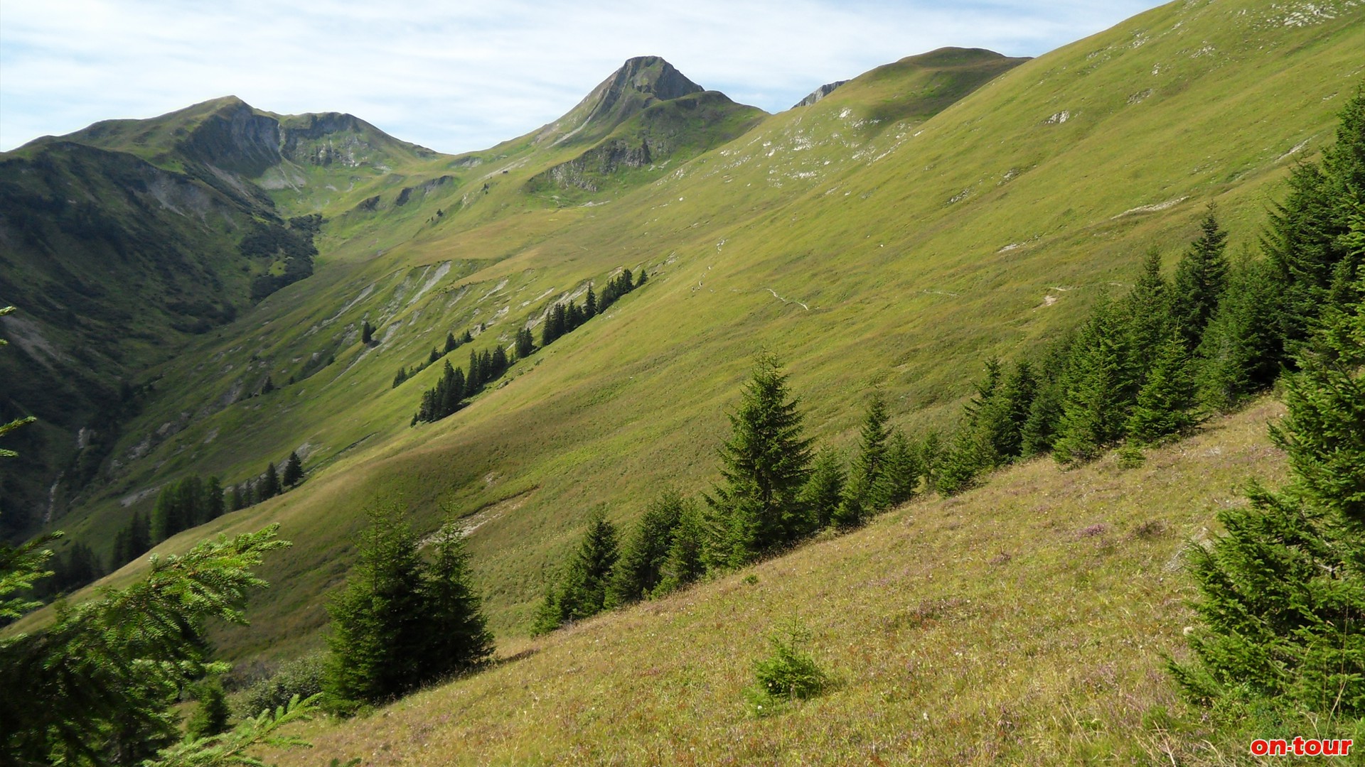 Der Alpenrosensteig verluft etwa 250 m unter dem Panoramaweg-Bernhardseck.