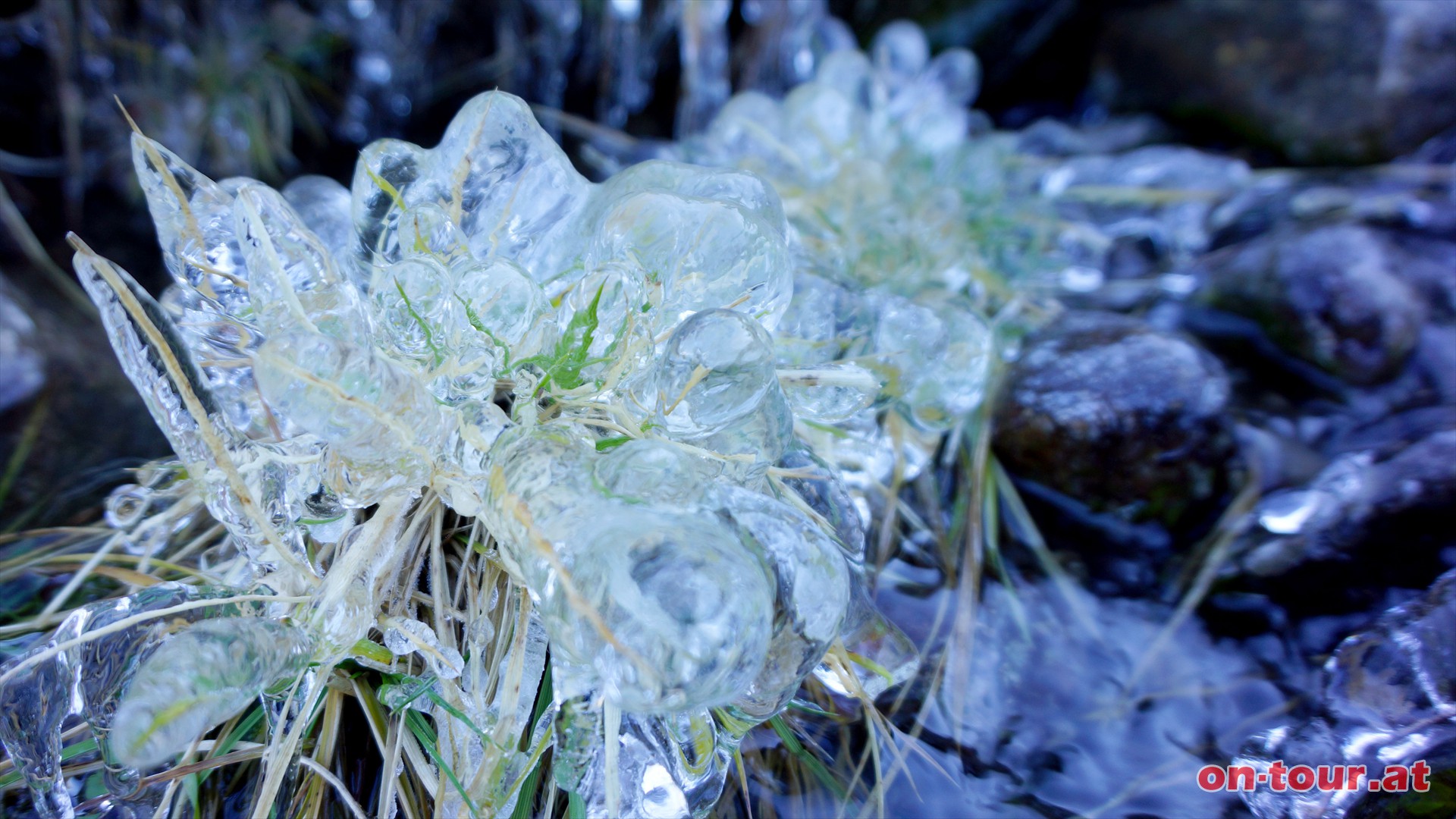 Entlang des Grnbachs knnen im Herbst prchtige Eisskulpturen gedeihen. 